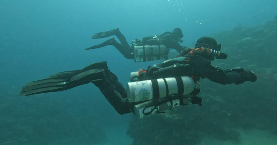 Kiss Sidewinder MOD3 Instructor (TMX 90m)