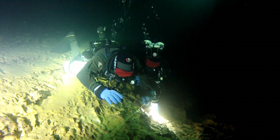 Full Cave Diver